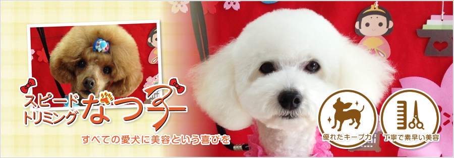 VS！Dog salon MINE│加古川市のワンちゃんのドッグサロンマイン